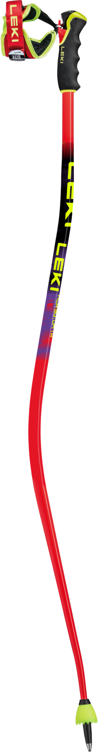 Leki: WCR GS/DH TR - Skistöcke